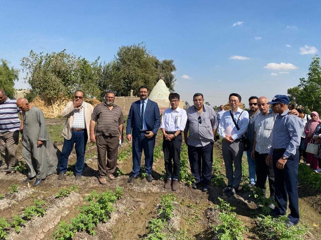 زراعة المنيا : بدء مشروع 