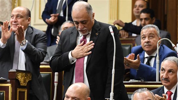 زعيم الأغلبية: نجدد تفويض الرئيس السيسي لاتخاذ كل ما يلزم للحفاظ على أمن مصر القومي


