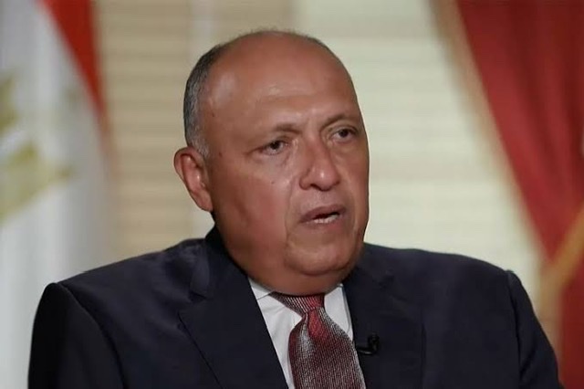 شكري يتوجه إلى برشلونة ونيويورك للمشاركة في لقاءات اللجنة الوزارية العربية/الإسلامية بشأن غزة