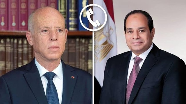 السيسي ونظيره التونسي يتفقان على أهمية العمل للوقف الدائم لإطلاق النار في غزة