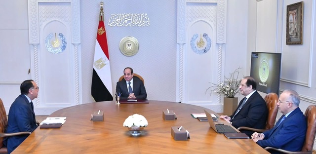 السيسي يؤكد على أهمية التعاون مع دول حوض النيل في مجال الري والموارد المائية 