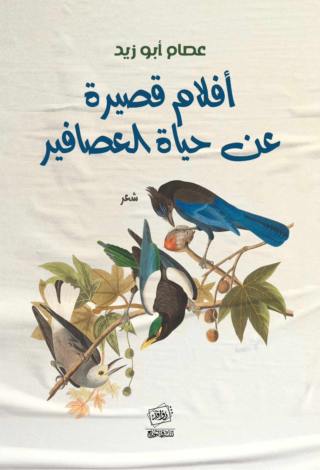 أفلام قصيرة عن حياة العصافير