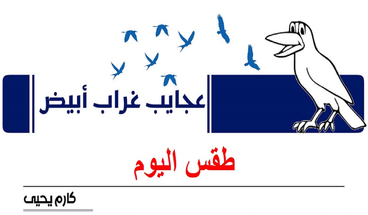 عجايب غراب أبيض | طقس اليوم