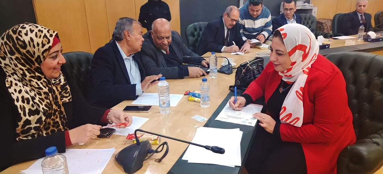 أسماء حسنين لـ«المشهد»: هدفنا خدمة الجماعة الصحفية وتنحي المصالح الشخصية جانبًا ولذلك ترشحت لمجلس نقابة الصحفيين

