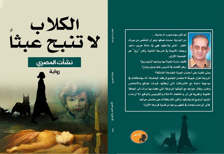 الشخصية في رواية 