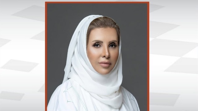 لجنة الرصد توصي بوضع إطار تنظيمي للعلاقات مع الآليات العربية لحقوق الإنسان
