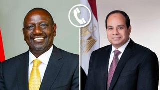 السيسي ونظيره الكيني يؤكدان هاتفيًا وجود آفاق واسعة لتطوير العلاقات الثنائية 