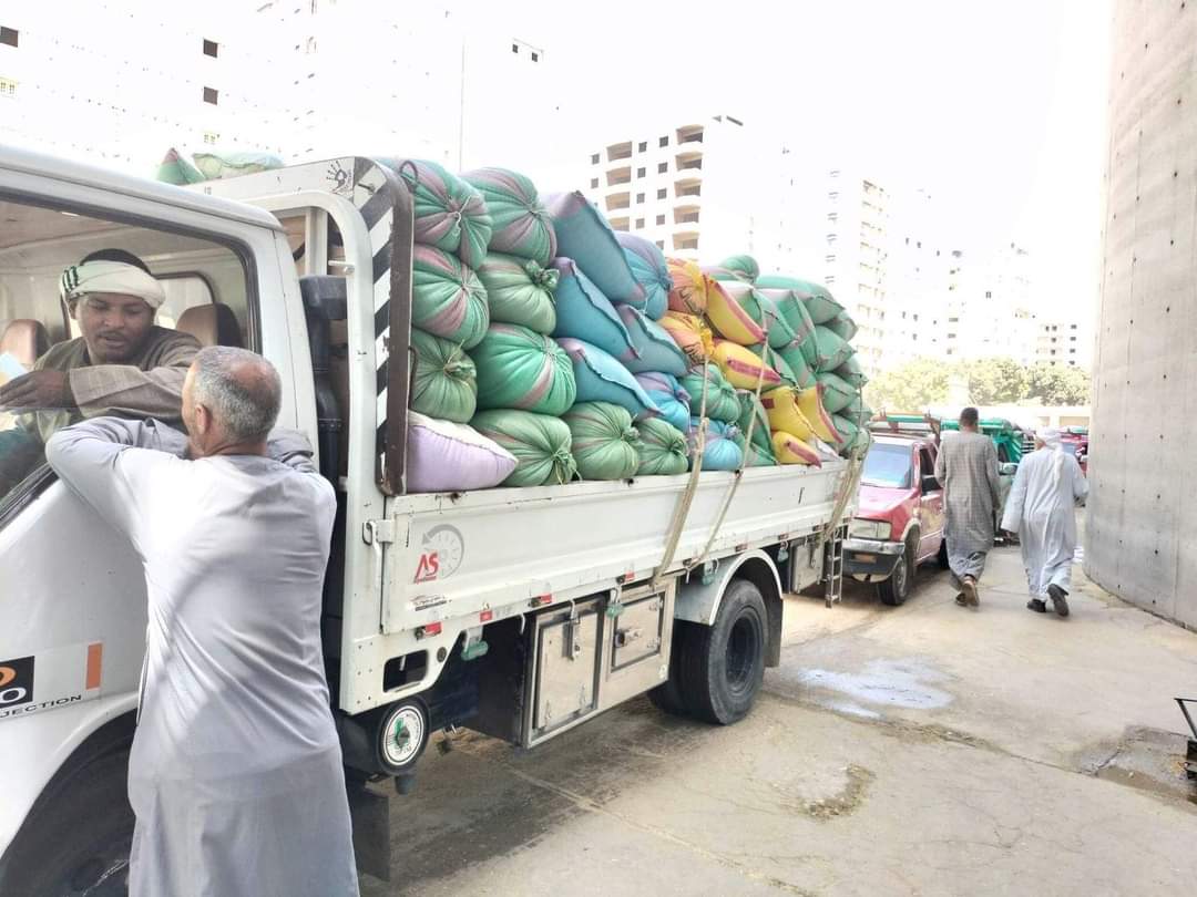 توريد 23 طن من محصول القمح بالشون والصوامع الحكومية بمراكز المنيا