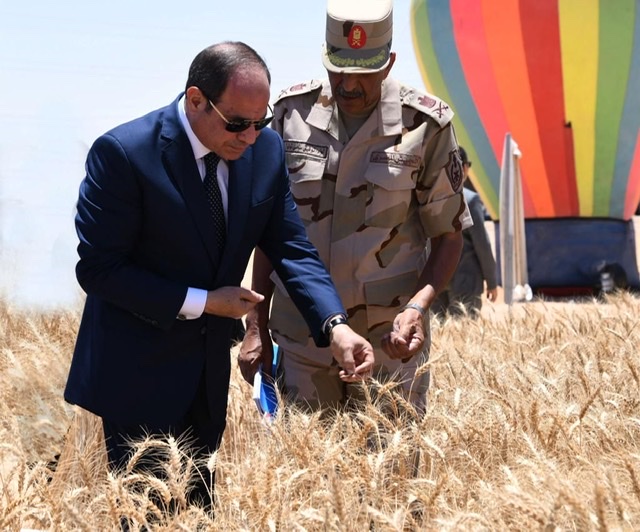 بالصور.. الرئيس السيسي يفتتح موسم حصاد القمح وعدد من المحاصيل بشرق العوينات 