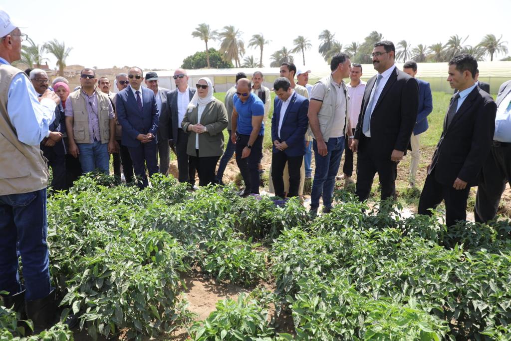 وزيرة التضامن الاجتماعي تتفقد الحقول الإرشادية والصوب الزراعية بقرية الشيخ مسعود بمركز العدوة بالمنيا