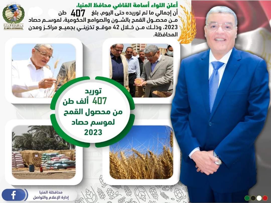 توريد 407 ألف طن من محصول القمح بجميع مراكز  محافظة المنيا