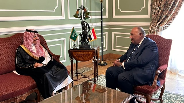 شكري وبن فرحان يؤكدان ضرورة التضامن والعمل العربي المشترك لمواجهة الأزمات المختلفة 