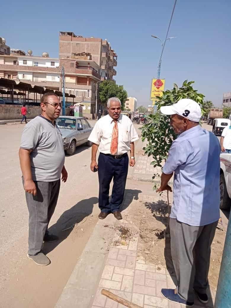 زراعة أشجار مثمرة وأخرى للزينة بمركزى ديرمواس وأبو قرقاص بالمنيا