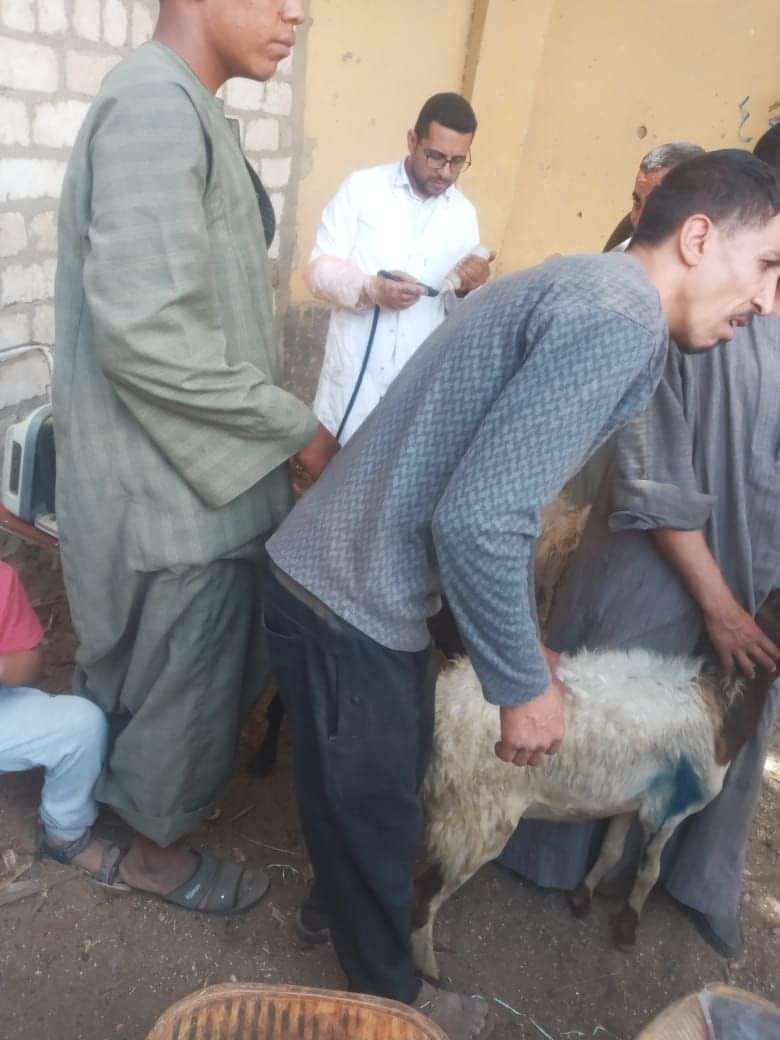 مبادرة 