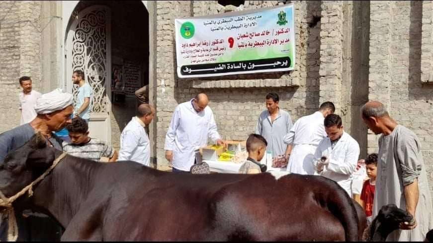 تقديم الخدمات البيطرية لـ 1492 رأس ماشية خلال قافلة بيطرية مجانية بقرية بني مهدي بالمنيا