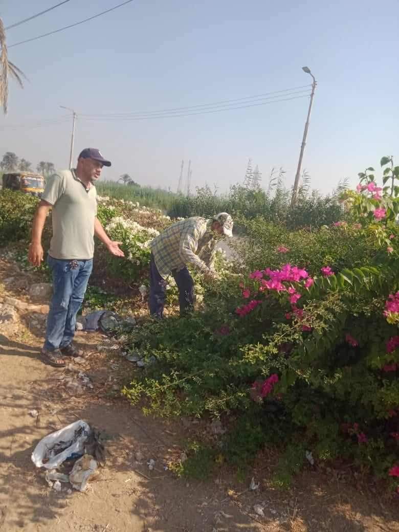 زراعة أشجار مثمرة وأخرى للزينة بمركزين بالمنيا ضمن مبادرة 