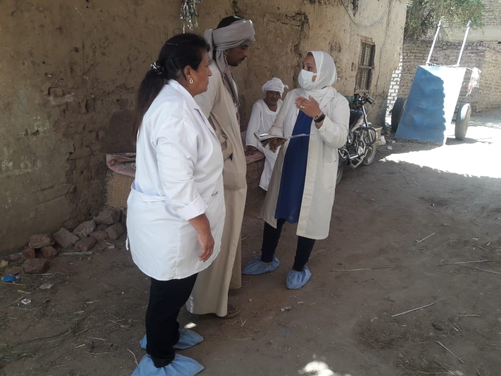 تحصين ٥٠ الف ماشية ضمن حملة للطب البيطرى بالأقصر 