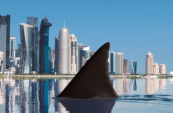 الإيكونوميست: دول الخليج تريد إعادة تشكيل العالم لكن تطلعاتها التنموية ستنهار إذا تعثرت مصر 