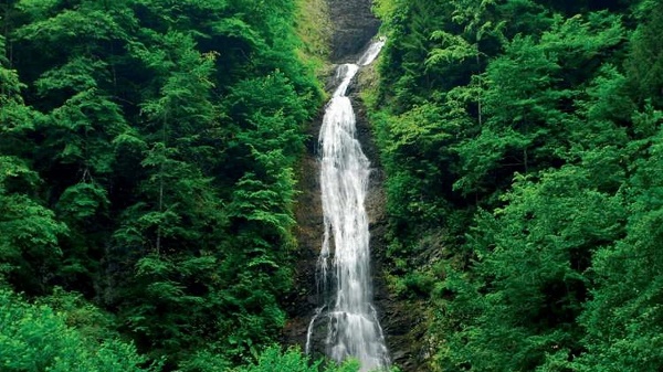 مدينة 