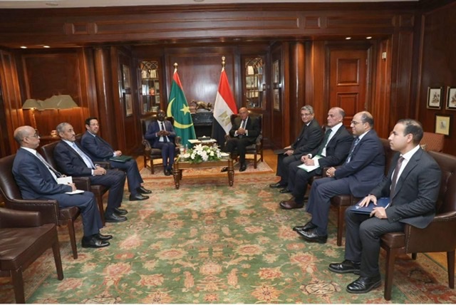 بعد تسلمه رسالة للسيسي .. شكري ونظيره الموريتاني يبحثان الوضع السياسى والأمني فى منطقة الساحل الأفريقى