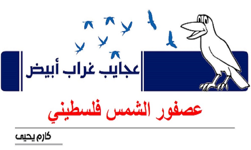 عجايب غراب أبيض | عصفور الشمس فلسطيني