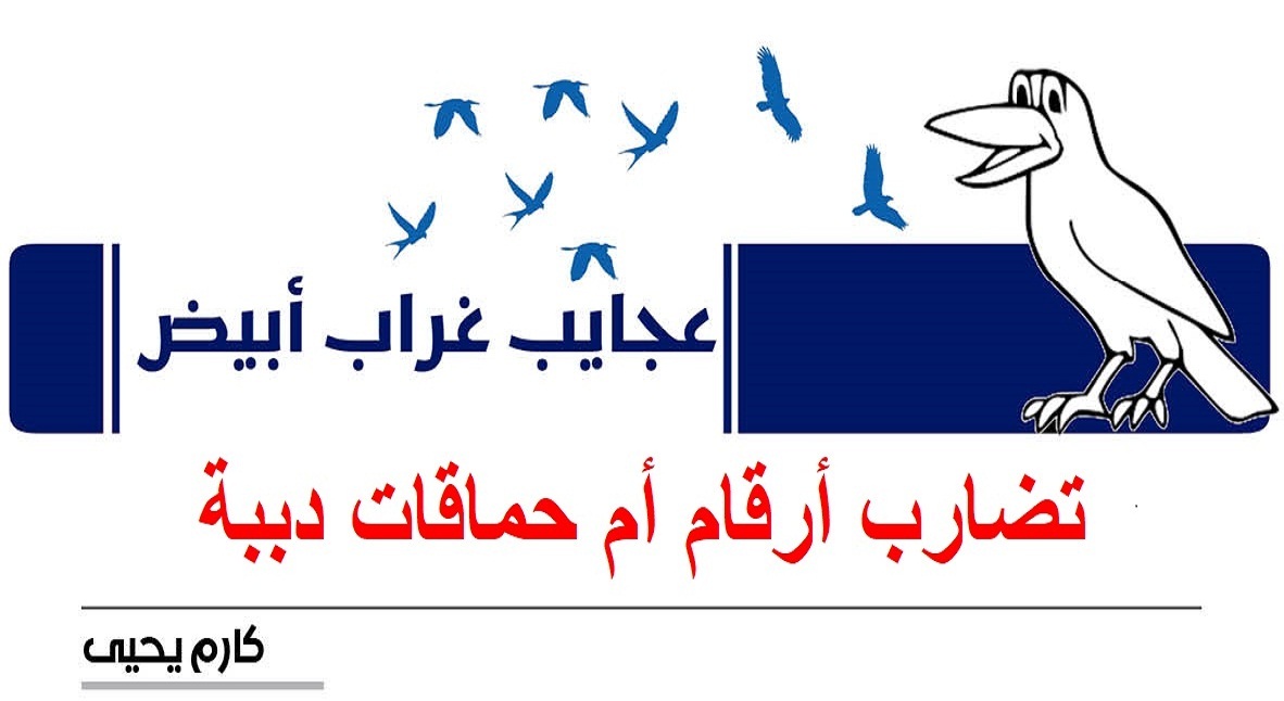 عجايب غراب أبيض | تضارب أرقام أم حماقات دببة؟