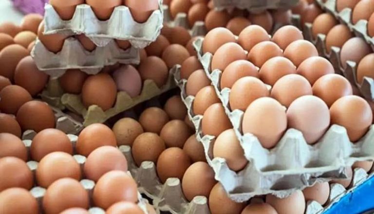 تغريم 4 سماسرة بيض 20 مليون جنيه للتلاعب في الأسعار

