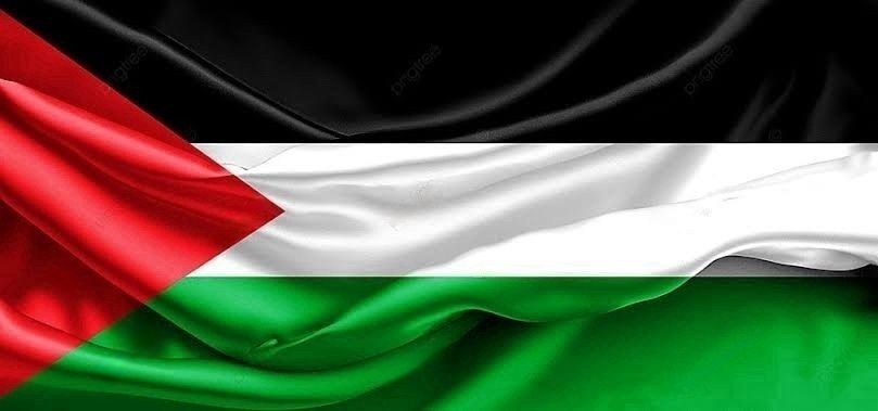 مصر تحيي اليوم الدولي للتضامن مع الشعب الفلسطيني

