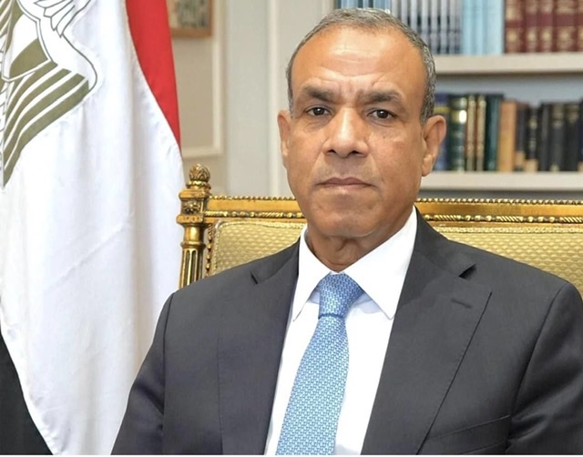 وزير الخارجية يعقد لقاء افتراضياً مع أعضاء الجالية المصرية في الإمارات