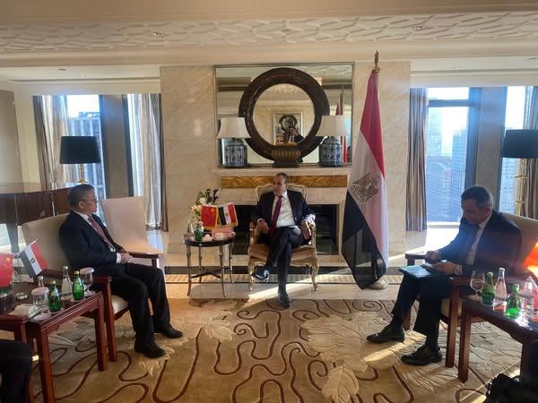 وزير الخارجية يلتقي الرئيس التنفيذي لـ