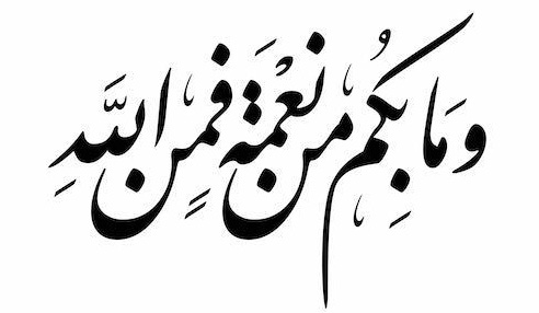 دقيقة لُغوية: (14) التمييز بين التاء المربوطة والهاء المتطرفة