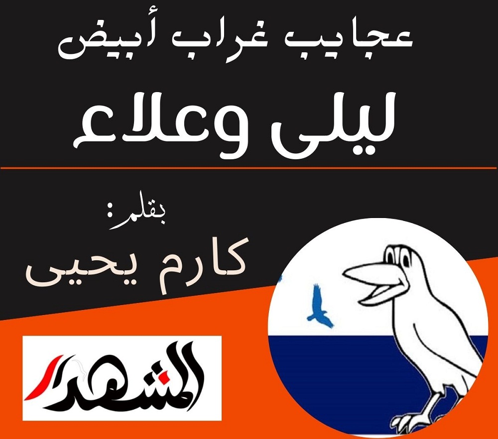 عجايب غراب أبيض | ليلى وعلاء

