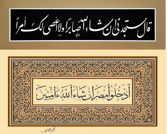 دقيقة لُغوية يكتبها عزت سلامة العاصي: (18) «إنْ شاء الله»

