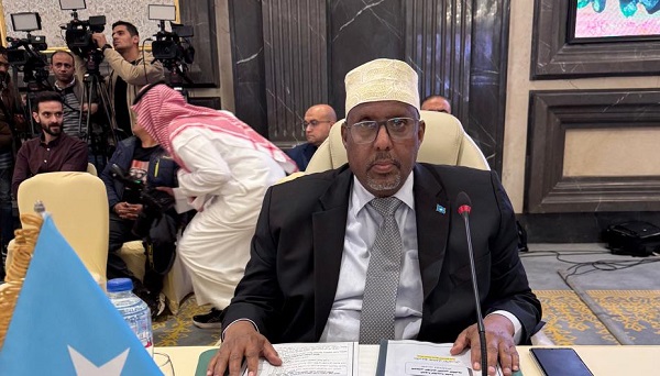 سفير الصومال لدى مصر يشارك في اجتماع المجلس الوزاري العربي للكهرباء

