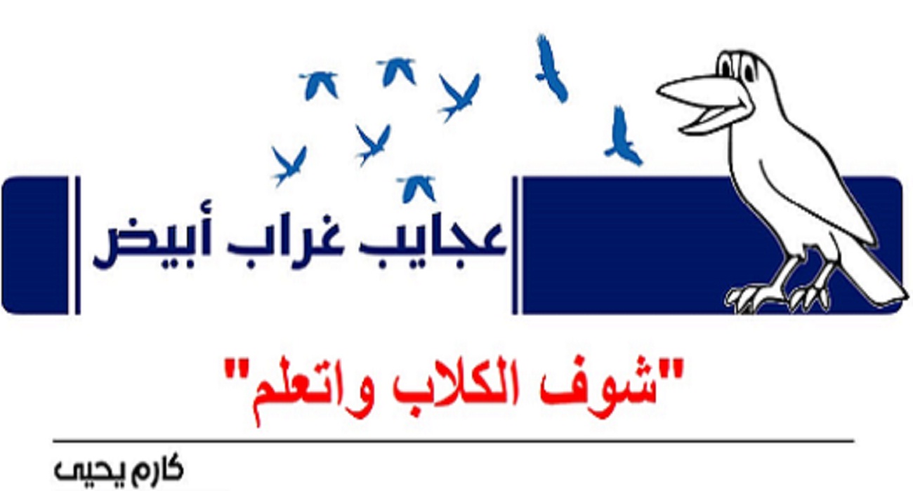 عجايب غراب أبيض | 