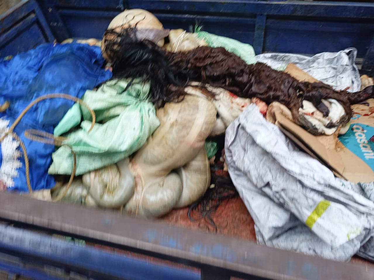 محافظة الجيزة: ضبط ٣.٥ طن لحوم ودواجن ومصنعاتهم فاسدة بأكتوبر وزايد والعجوزة والدقي وبولاق الدكرور ومنشاة القناطر وأوسيم 