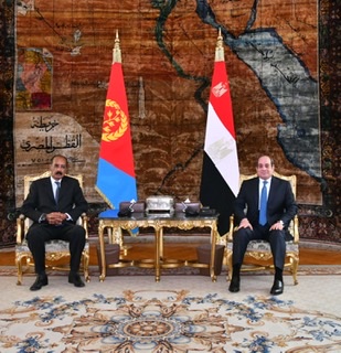 تعزيز التبادل التجاري والاستثمار..  تفاصيل مباحثات الرئيس السيسي مع نظيره الإريتري