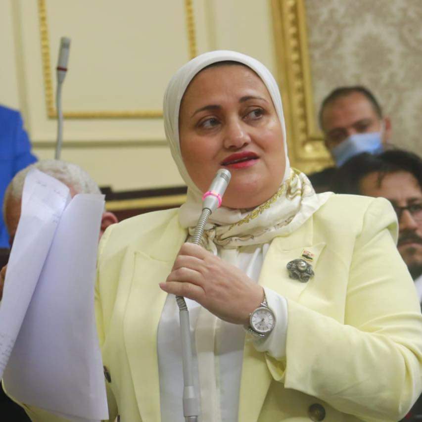 النائبة سناء السعيد: أهداف منحة الاتفاق التمويلي بين مصر والاتحاد الأوربي نبيلة ولكنها خيالية