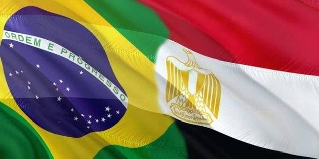وزارتا خارجية مصر والبرازيل تصدران بيانًا لمرور مائة عام على تأسيس العلاقات بينهما