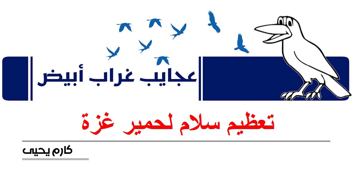 عجايب غراب أبيض | تعظيم سلام لحمير غزة