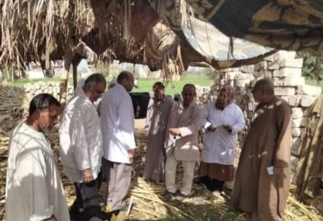 تحصين  ١٩٥ ألف رأس ماشية  للوقاية من مرضي الجلد العقدي والجدري بالمنيا