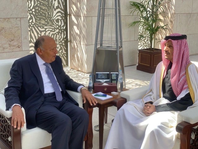 شكري ونظيره القطري يؤكدان حتمية وقف إطلاق النار في غزة