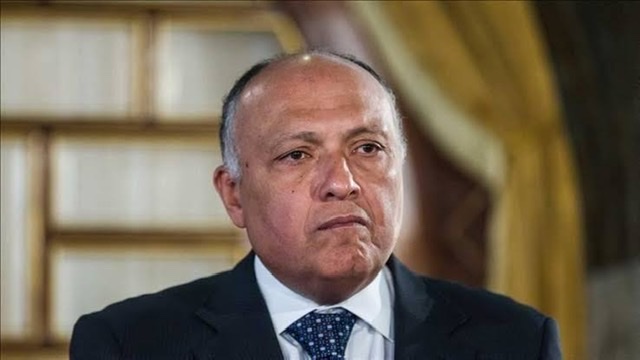 غدا.. وزير الخارجية يستقبل وفدًا من حركة فتح الفلسطينية