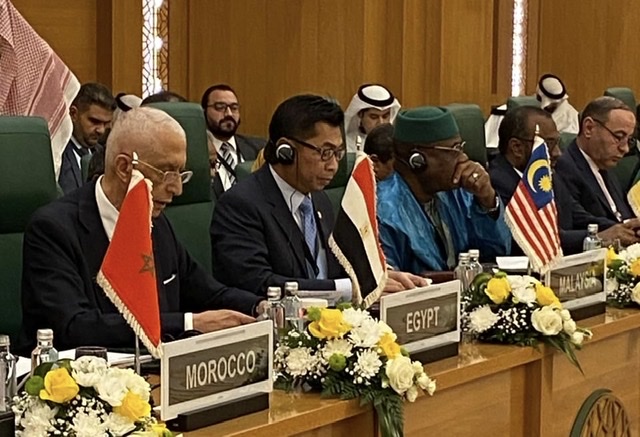 مصر ترأس وفدًا لبحث العدوان الصهيوني في منظمة التعاون الإسلامي