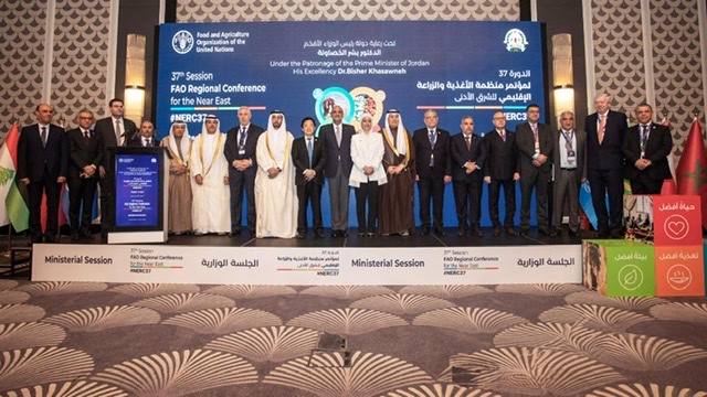 منظمة 