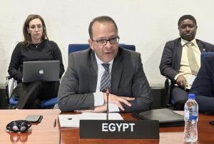 بدء عضوية مصر بمجلس السلم والأمن الأفريقي