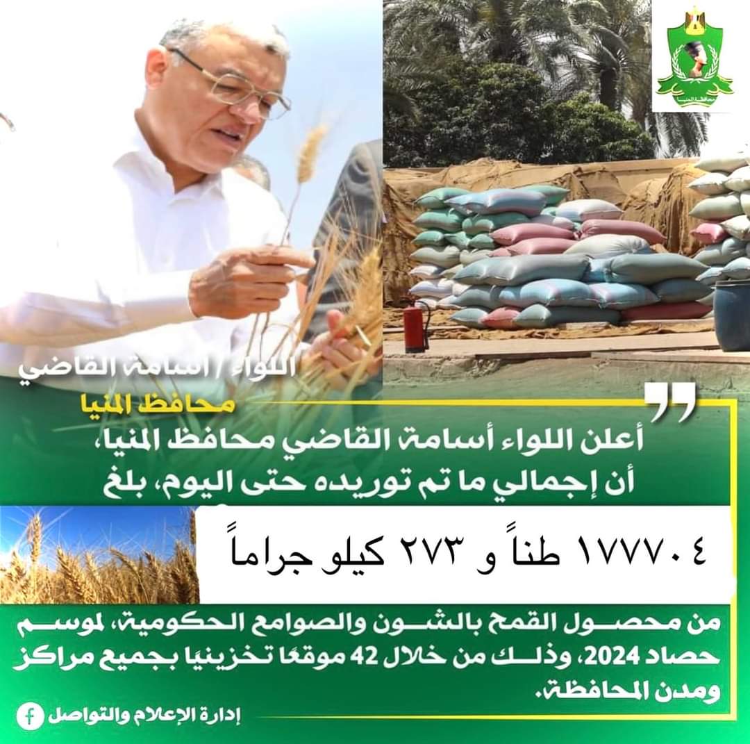 شون وصوامع المنيا تستقبل 178 ألف طن من محصول القمح لموسم حصاد 2024