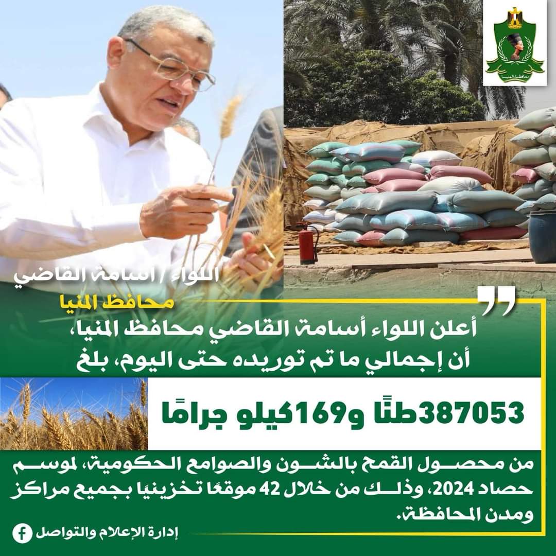 شون وصوامع محافظة المنيا تواصل استقبال القمح وتوريد 387 ألف طن منذ بدء الموسم