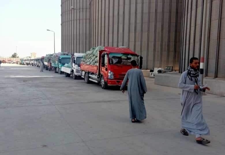 شون وصوامع محافظة المنيا تواصل استقبال القمح وتوريد 413 ألف طن منذ بدء الموسم