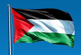 خبير دولي: انضمام فلسطين لدعوى جنوب إفريقيا خطوة جريئة لفضح جرائم الاحتلال أمام العالم
